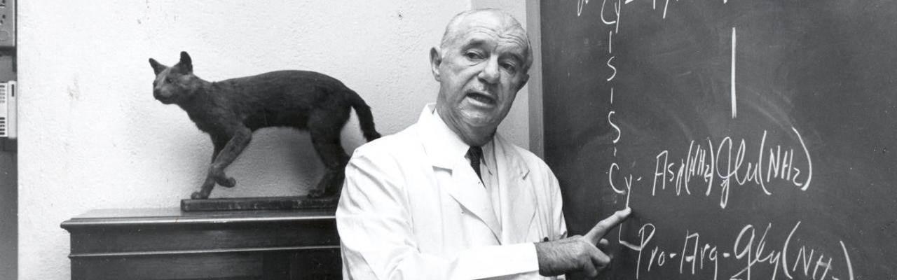 Vincent du Vigneaud