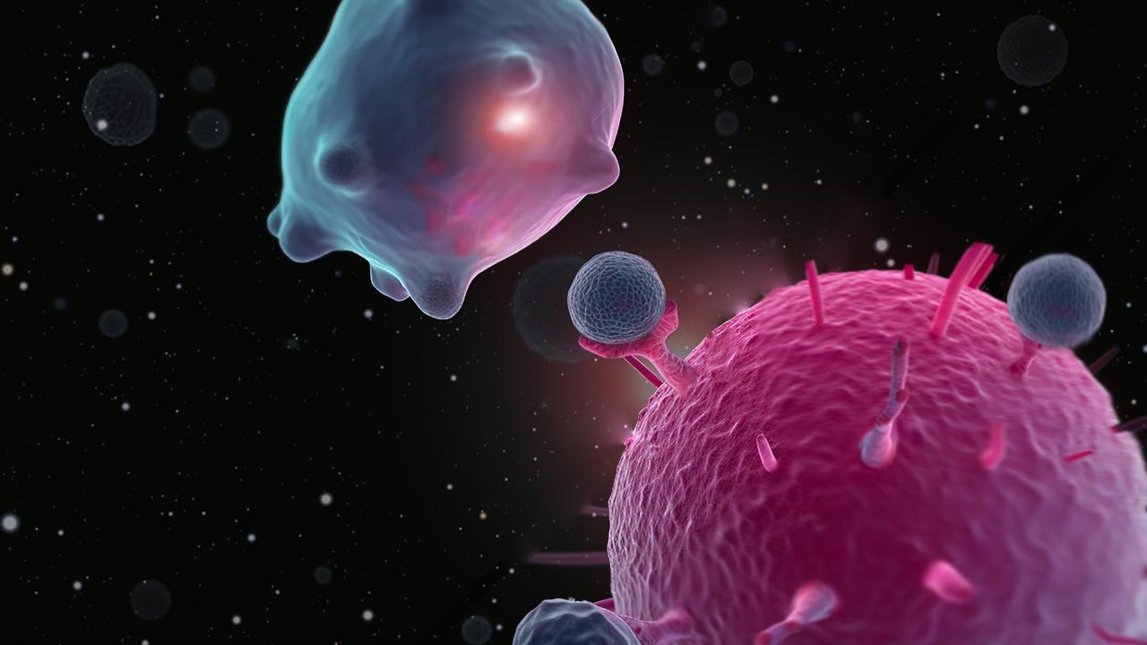Computational Biology Image 