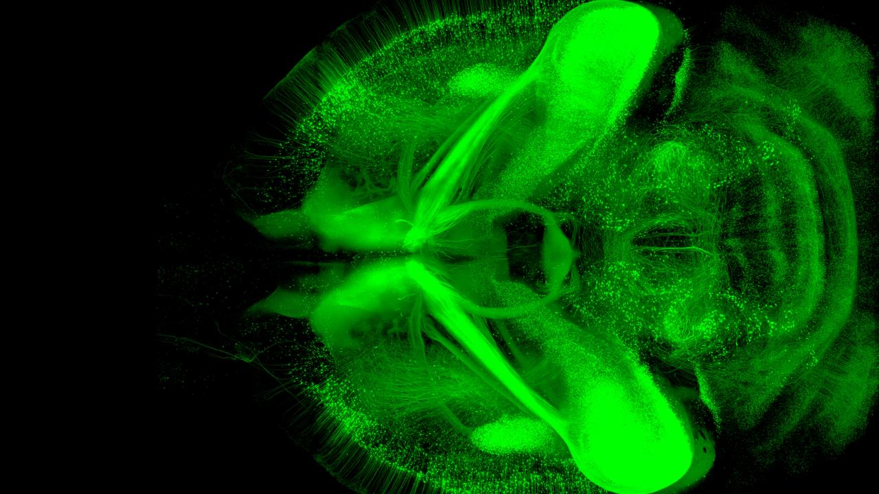 Neuroscience1