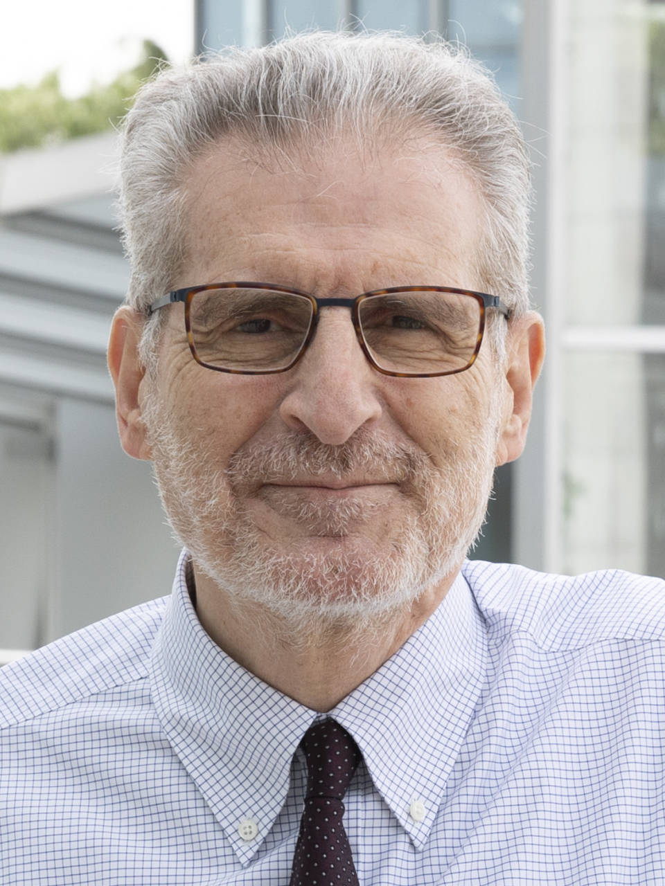 Costantino Iadecola