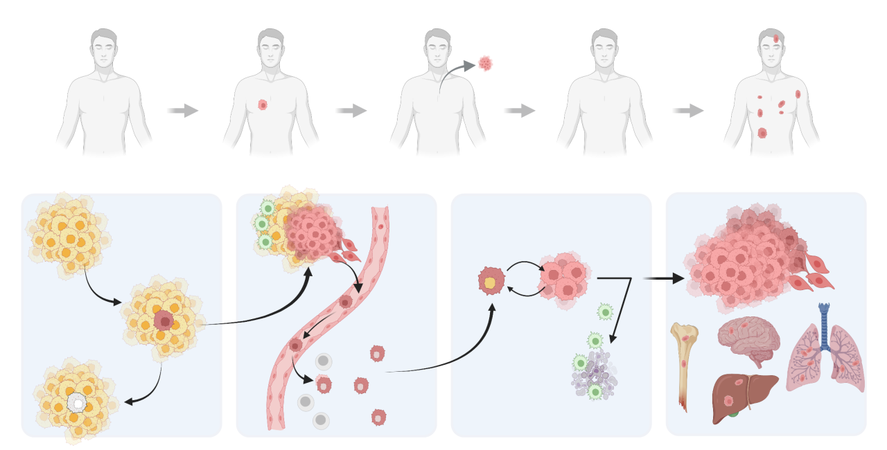 Dr. Massague Figure 3