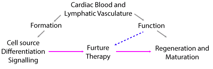 Dr. Harrison Figure 2