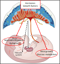 Dr. Stuhlmann Figure 2