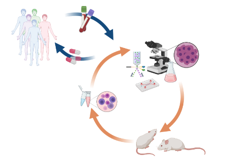 Figure2_TranslationResearch