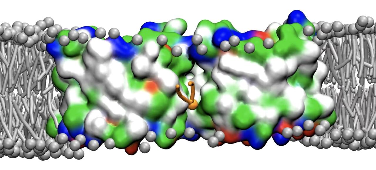 Dr. Menon Figure 1