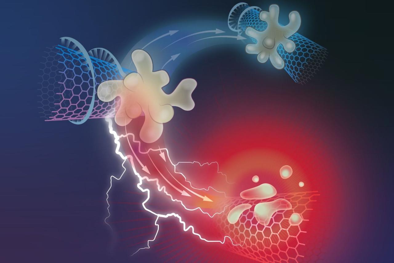 nanosensors_photo