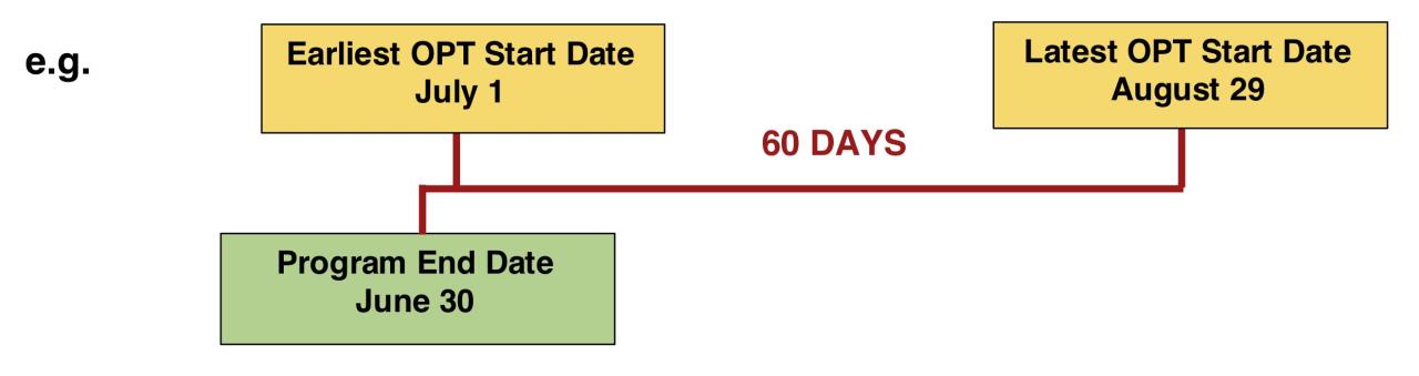 How Do I Choose My OPT Start Date Image