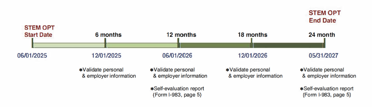 Additional STEM OPT Reporting Requirements Graph