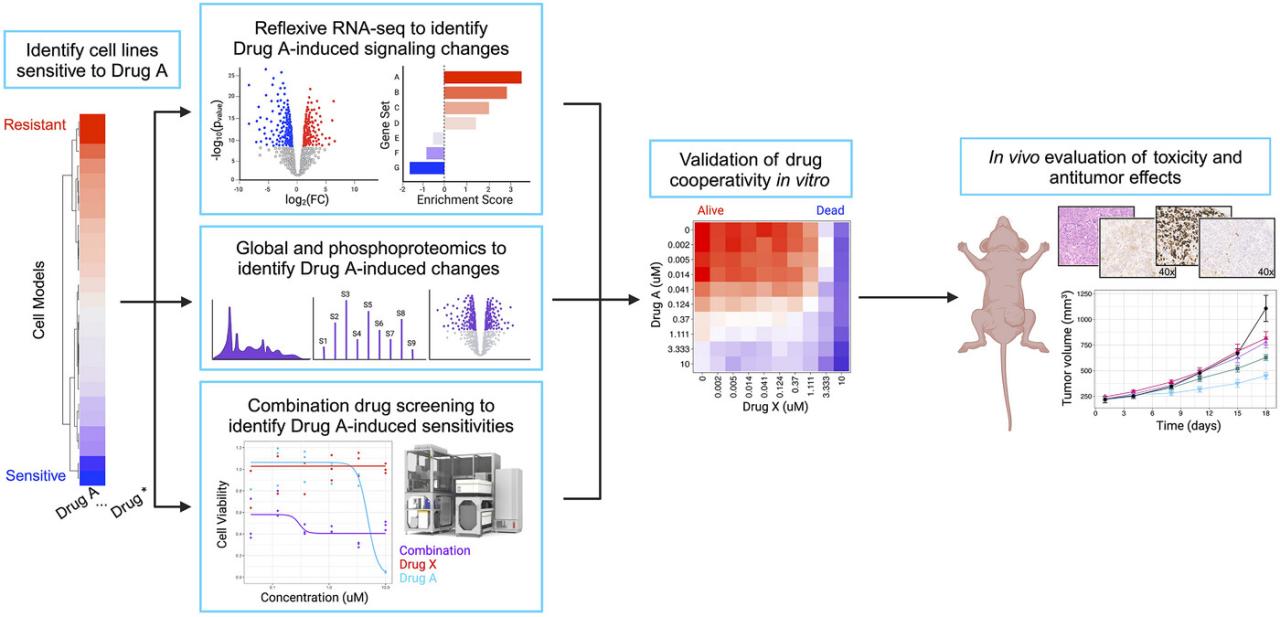 Hopkins Multi-Omics