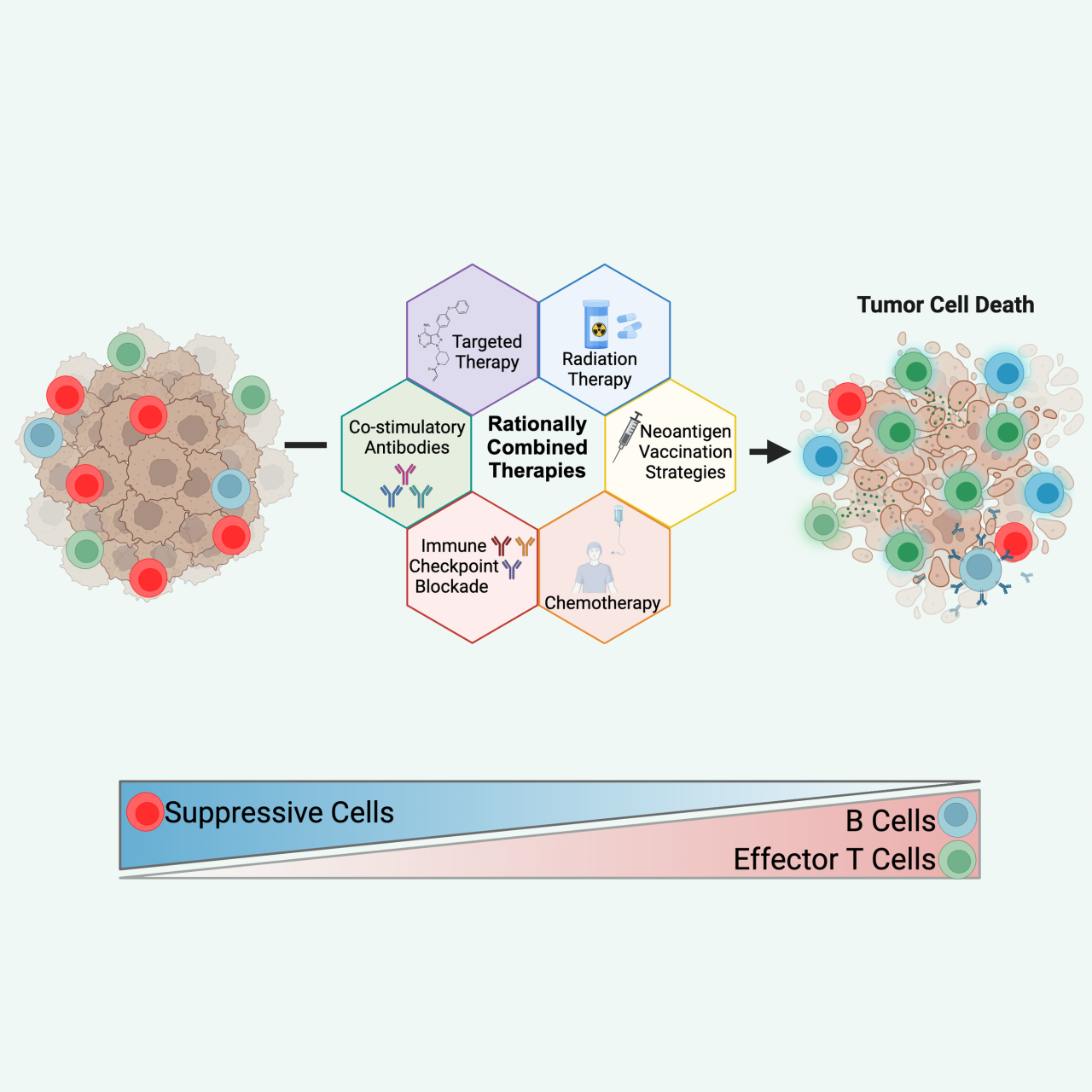 Immunomodulation