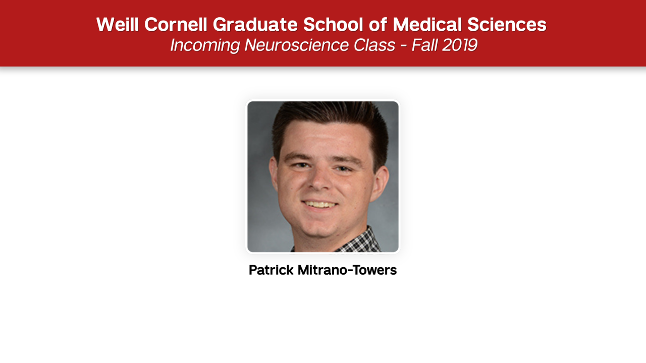 Neuroscience Fall 2019