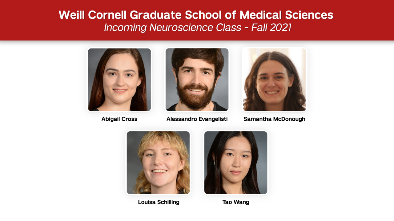Neuroscience Class 2021